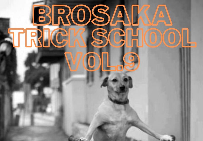 BROSAKA TRICK SCHOOL VOL.9
