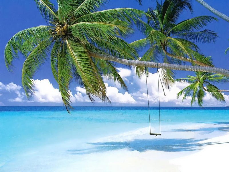 ”CURE CUSTOMで夏を先取り!!!＆イベント情報!!!”