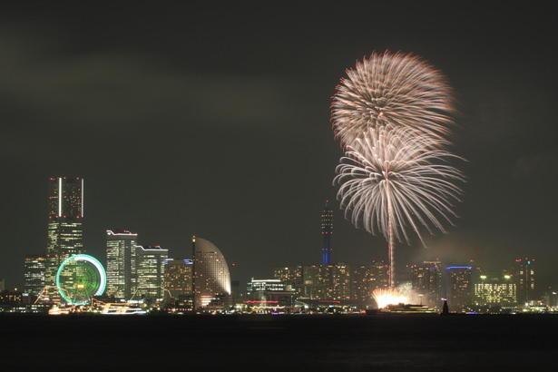 Fireworks神奈川新聞花火大会