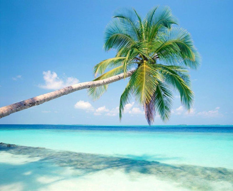 BROTURES OSAKA RIDE のお知らせ!!!!!!!!!!!