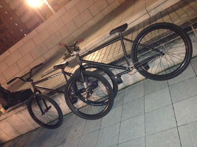 〜最近の動き & 入荷状況〜