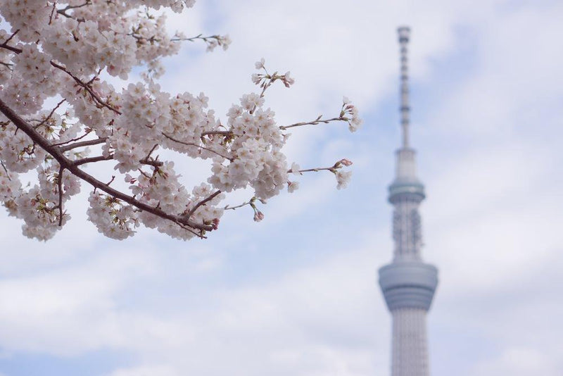 BROTURES HARAJUKU GROUP RIDE 