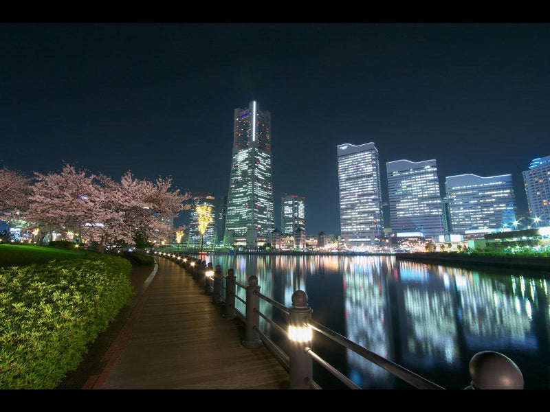 TODAY'S YOZAKURIDE...