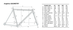 LEADER Angelino PTG Complete Bike  (RAW / M)【USED】