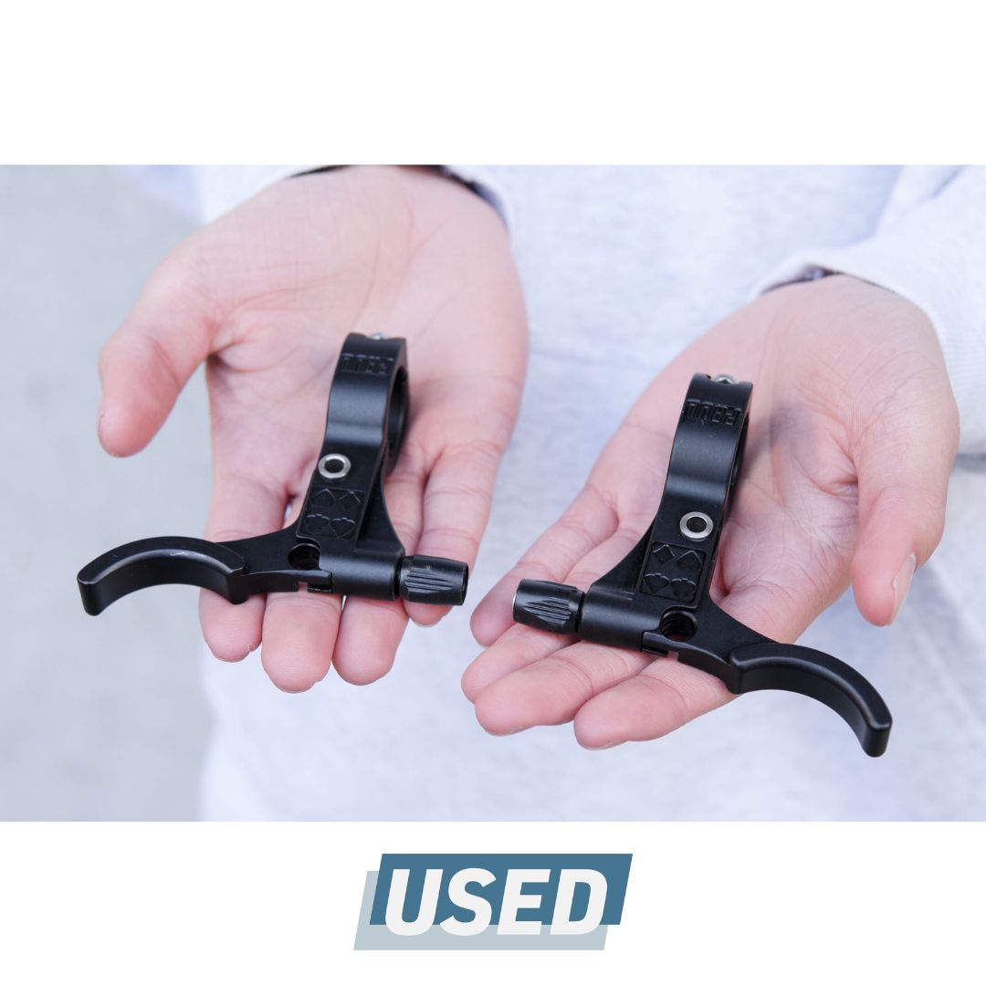 PAUL E-LEVER PAIR (BLACK / Ø22.2mm)【USED】