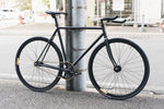 FUJI FEATHER "RIG"