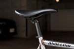 LEADER Angelino PTG Complete Bike  (RAW / M)【USED】