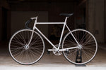 KING SPEED NJS (Silver / C-T525mm)