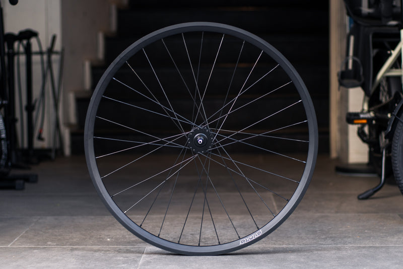 BROTURES PLUMP x BROTURES TRACK HUB