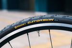CONTINENTAL GATORSKIN