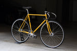 giro NJS (Yellow with Rainbow Flake / C-T550mm)