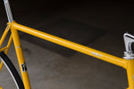 giro NJS (Yellow with Rainbow Flake / C-T550mm)