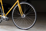 giro NJS (Yellow with Rainbow Flake / C-T550mm)