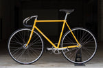 giro NJS (Yellow with Rainbow Flake / C-T550mm)
