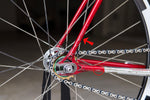 Nagasawa NJS (Red Metallic with rainbow flake / C-T545mm)