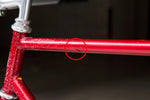 Nagasawa NJS (Red Metallic with rainbow flake / C-T545mm)