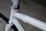 AFFINITY LOPRO 2021 (SNOW WHITE / M C-T605mm) PHILWOOD HP付属【USED】