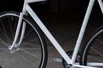 AFFINITY LOPRO 2021 (SNOW WHITE / M C-T605mm) PHILWOOD HP付属【USED】