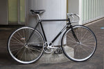 BROOKS B17