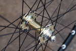 【OUTLET】H PLUS SON AT-25 x VELOCI RC20 Gold