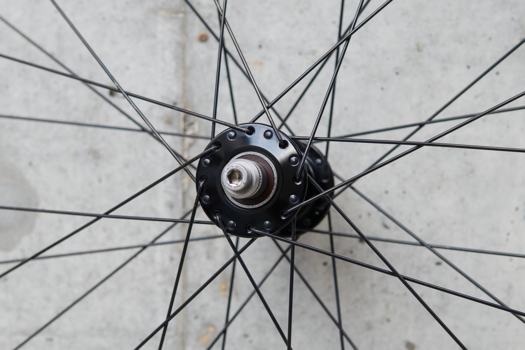 HED. Belgium Rim × PHILWOOD LOW FLANGE TRACK HUB Custom Wheel F/R
