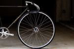 LEVEL NJS (Black with Gold Flake / C-T 490mm)【USED】