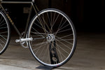 LEVEL NJS (Black with Gold Flake / C-T 490mm)【USED】