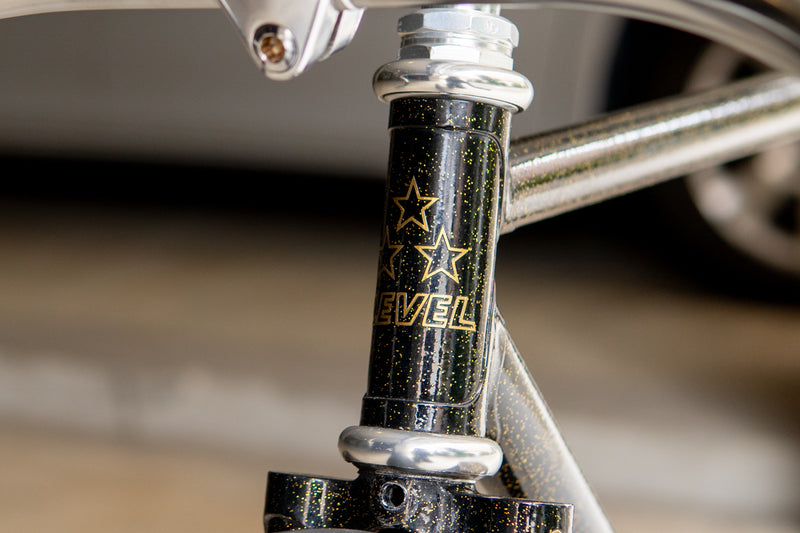 LEVEL NJS (Black with Gold Flake / C-T 490mm)【USED】