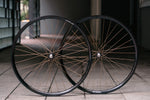 BROTURES WIVER x RAKETA x HOSHI Peregrine Spoke