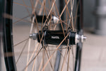 BROTURES WIVER x RAKETA x HOSHI Peregrine Spoke