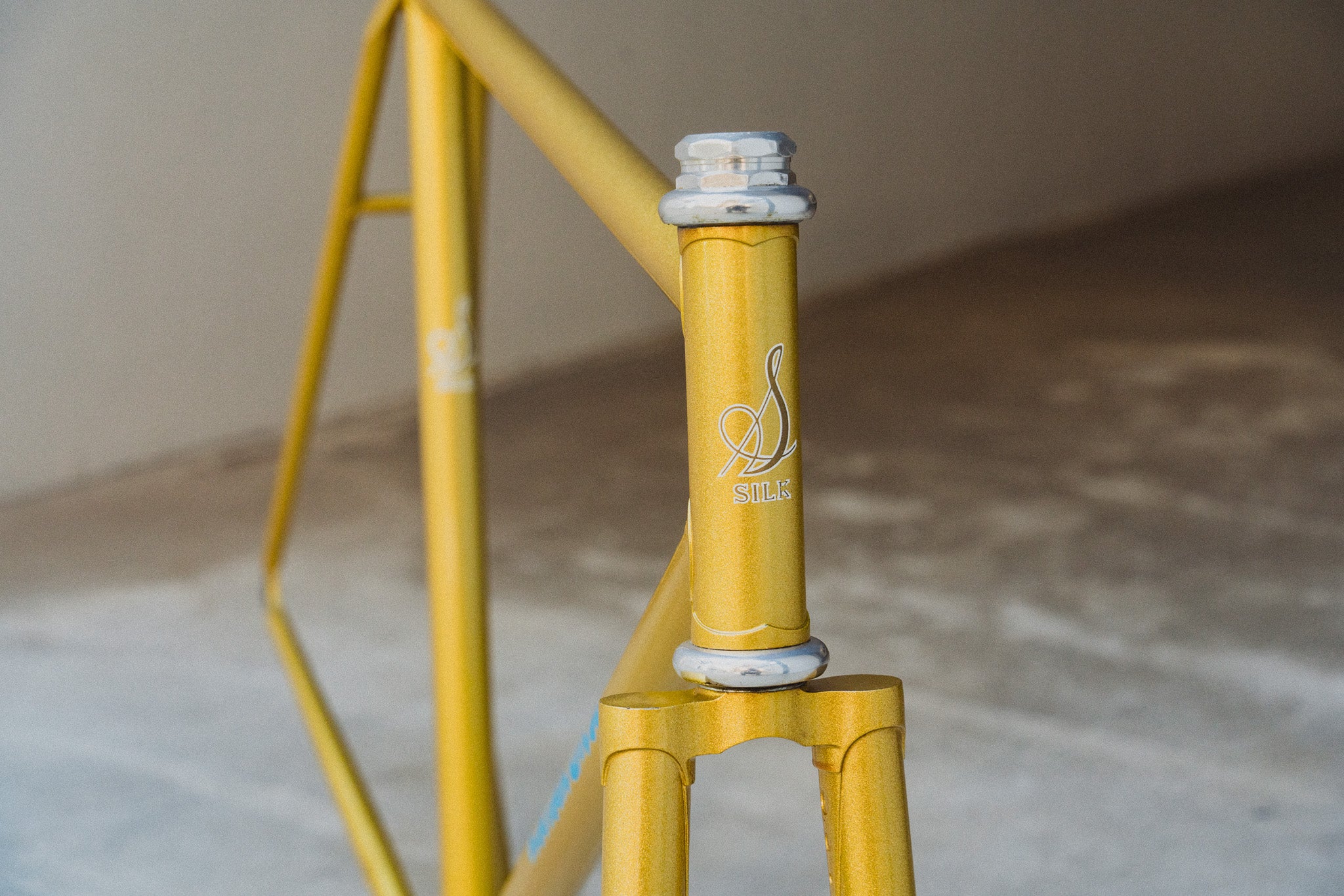 Katakura Silk Vintage NJS Frame set (Gold / C-T51.5mm)