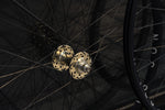 【OUTLET】H PLUS SON AT-25 x VELOCI RC20 Gold