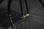 【OUTLET】H PLUS SON AT-25 x VELOCI RC20 Gold