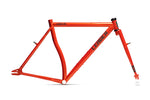 LEADER NOMAD Frame set